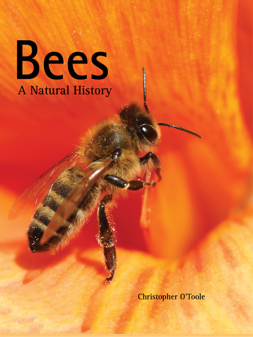 Title details for Bees by Christopher O'Toole - Available